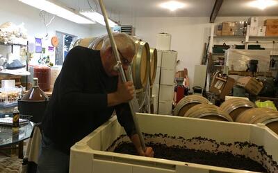 Neil Shay stirring a bin of wine grapes in his lab