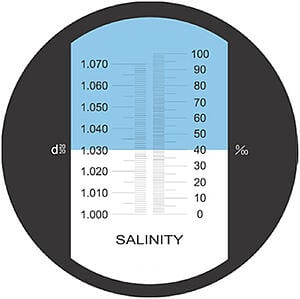 Salinity refractometer shadow line