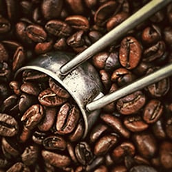 Coffee beans and measuring scoop