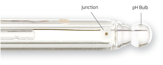 junction-bulb-clear