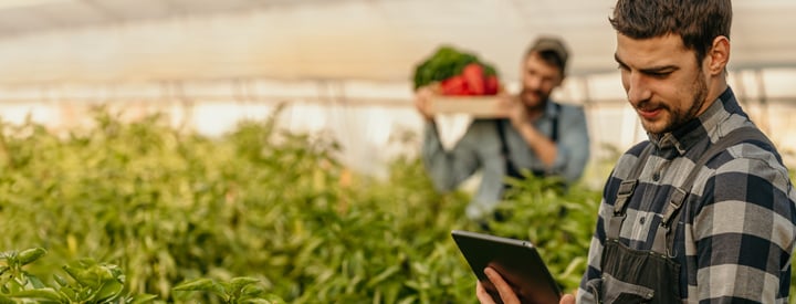 Greenhouse-Man-with-ipad-Banner