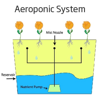 AeroponicSystem