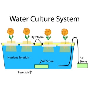 WaterCultureSystem