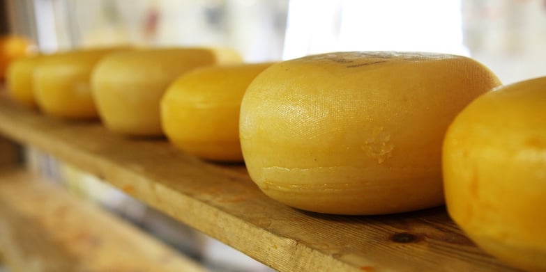 Cheese wheels on a shelf