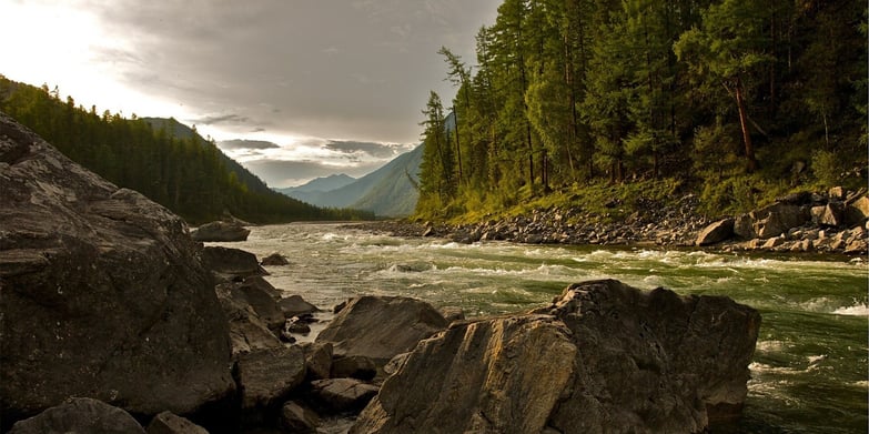 Forrest with mountains and creek