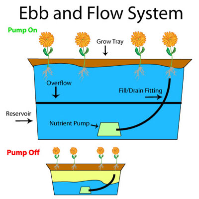 EbbandFlowSystem