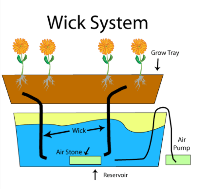 The Basics Hydroponic Systems