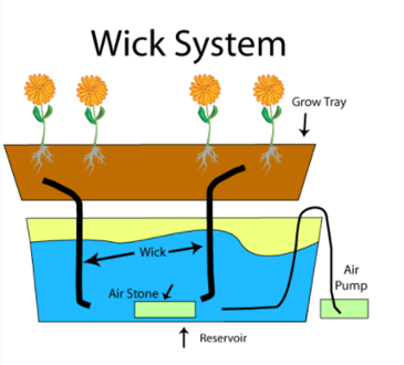 wick-1