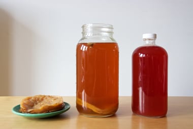 kombucha bottles and scoby