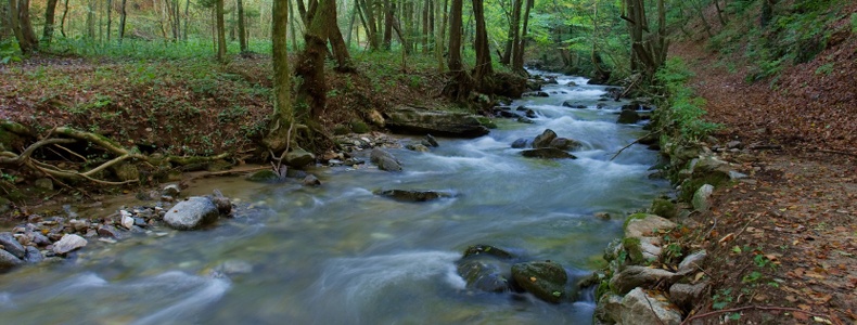 Water Stream